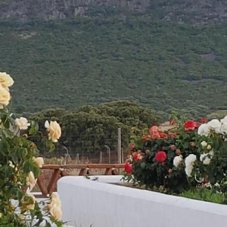 Finca La Rinconada Calamonte Екстериор снимка