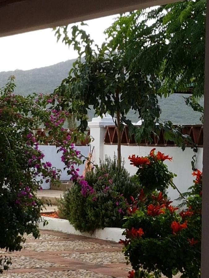 Finca La Rinconada Calamonte Екстериор снимка