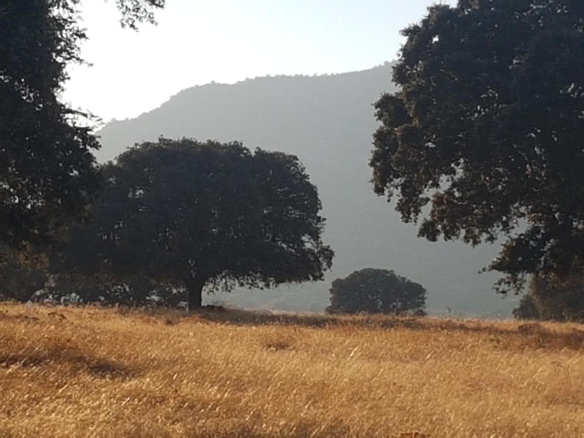 Finca La Rinconada Calamonte Екстериор снимка