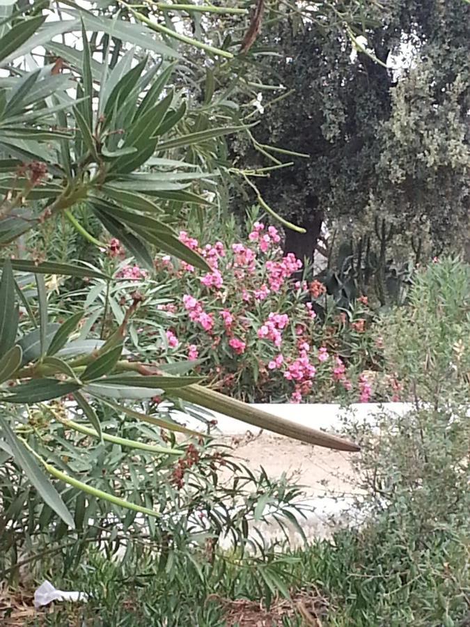 Finca La Rinconada Calamonte Екстериор снимка